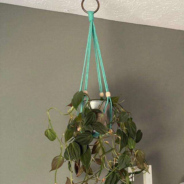 Mystic Meadow Plant Swing - Macrame plant hangers ( Set of 3 ) - KnittsKnotts