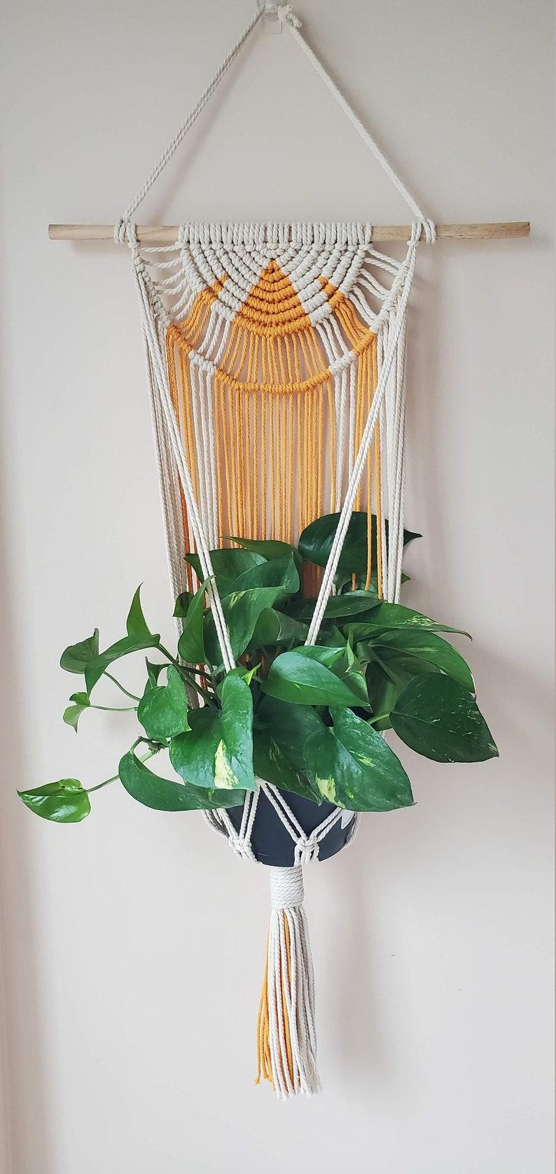 Whimsical Medly - Plant Hanger