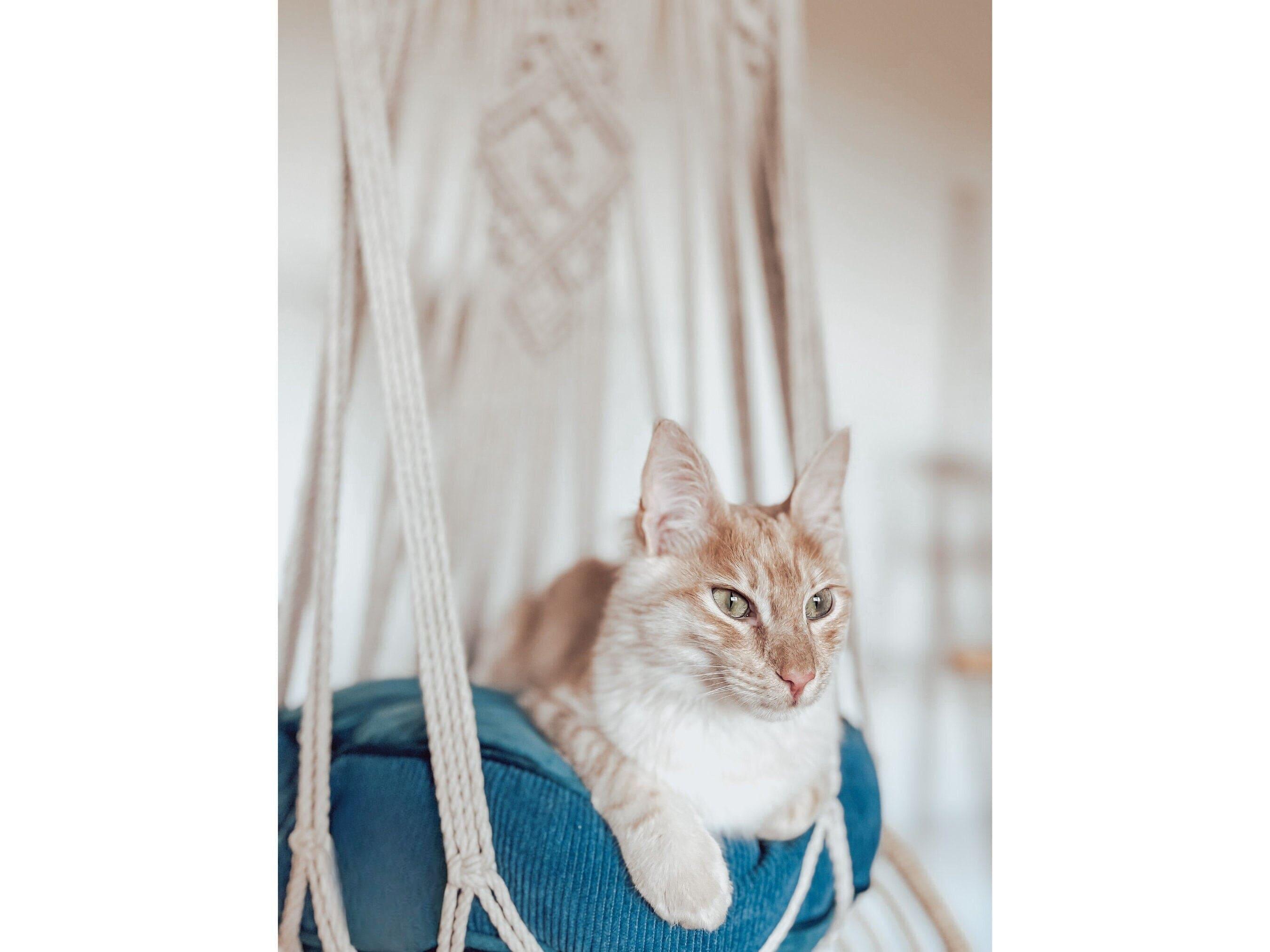 Kitty Paradise -  Macramé Cat Bed