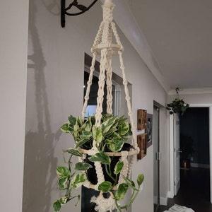 Enchanted Embrace - Plant Hanger